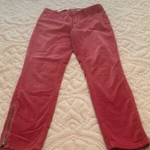 ANTHROPOLOGY  Pilcro and the Letterpress Pink Corduroy Pants